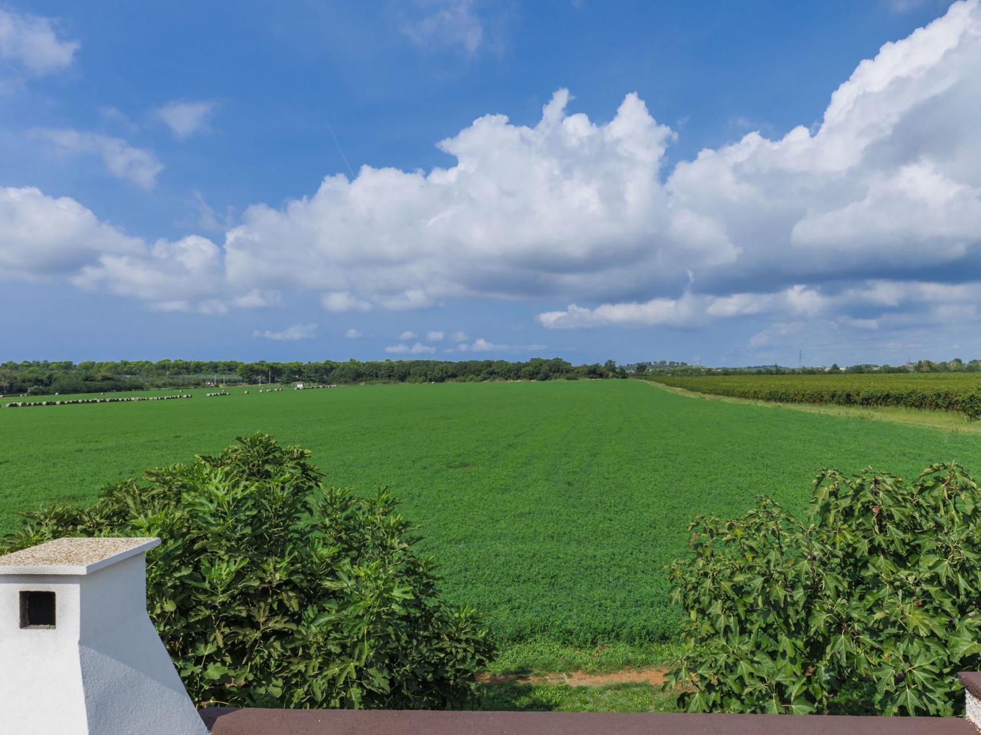 Holiday Home Barbolan By Interhome เมดูลิน ภายนอก รูปภาพ